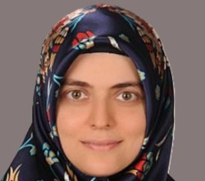 Hatice Ulku Osmanbeyoglu
